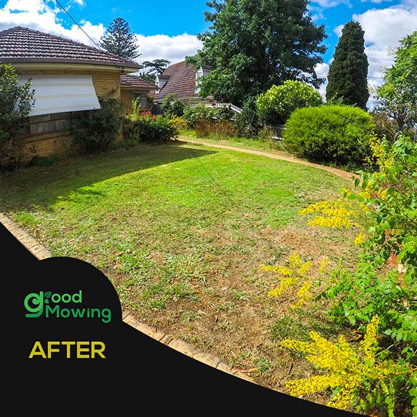 Lawn Mowing Grass Cutting Services Bundoora Epping South